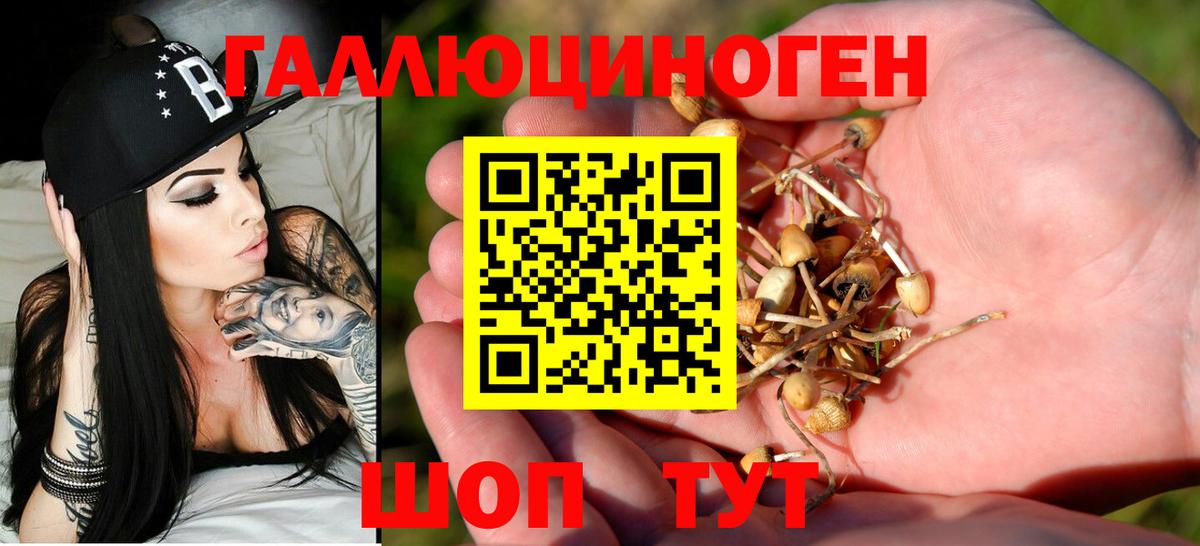Бахчисарай  наркошоп  Вход с VPN  Галлюциногенные грибы Psilocybine cubensis  Псилоцибиновые грибы Magic Shrooms 